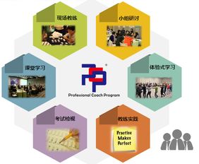 想成為企業青睞的教練？這門網絡技術認證課不容錯過